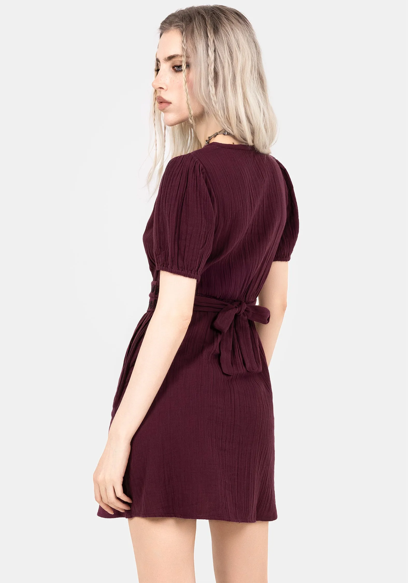 Evening Glow Poultice Embroidered Cotton Mini Dress