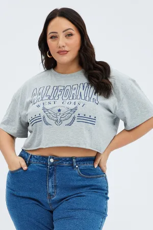 Matte Look Grey Graphic Crop T-shirt Short Sleeve Crew Neck