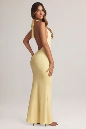 Burgundy Deep Modal Halterneck Maxi Dress in Lemon Sherbet