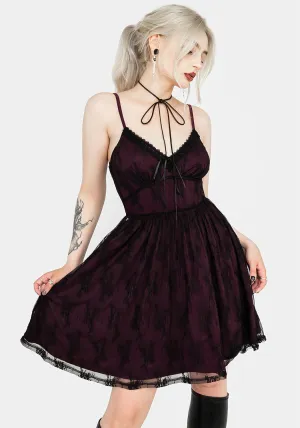 Glow Light Smart Casual Wear Anastasie Stretch Lace Mini Dress