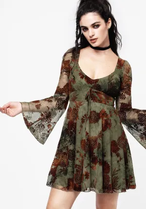 Comfy Design Scene Hot Rosaleigh Flock Velour Mesh Flare Sleeve Mini Dress