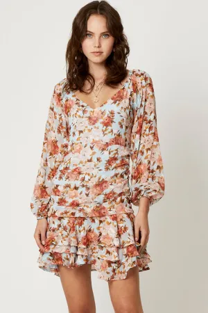 Print Long Sleeve Pleat Detail Skater Dress Beauty Glow