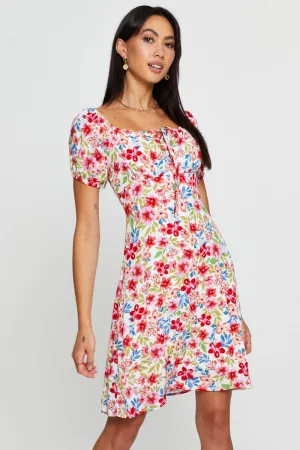 Print Mini Dress Short Sleeve Scoop Neck Suede Mood WearResistantHem