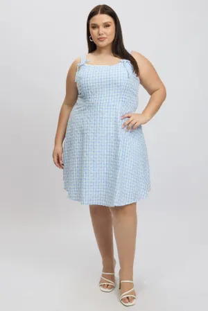 Chic Spirit Hot Style Blue Check Gingham Embroidered Mini Dress