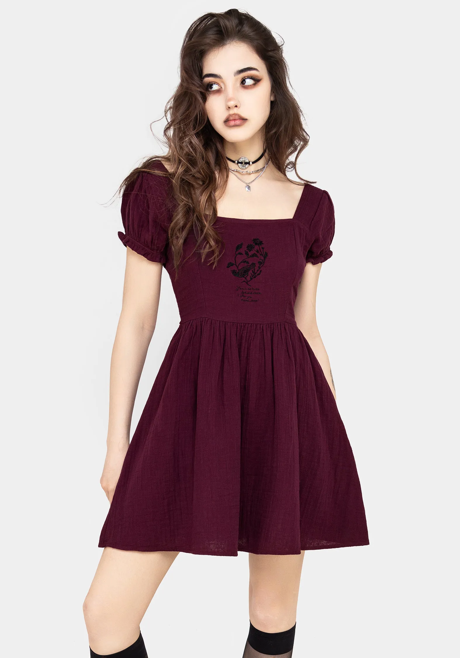 Simple Chic Frances Embroidered Cotton Mini Dress